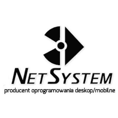netsystem - logotyp